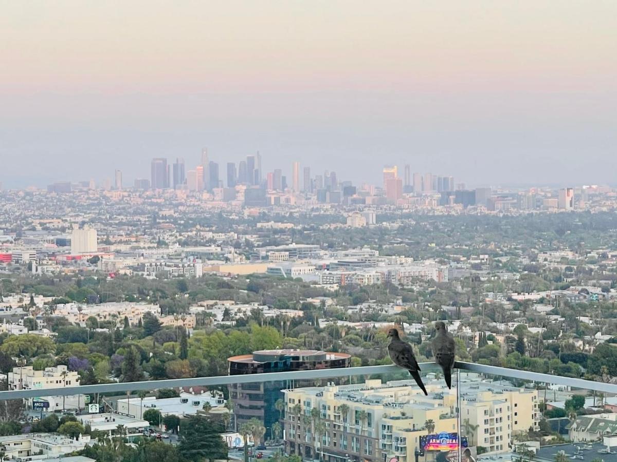 Stunning View Hollywood Hills Guest House Los Angeles Buitenkant foto